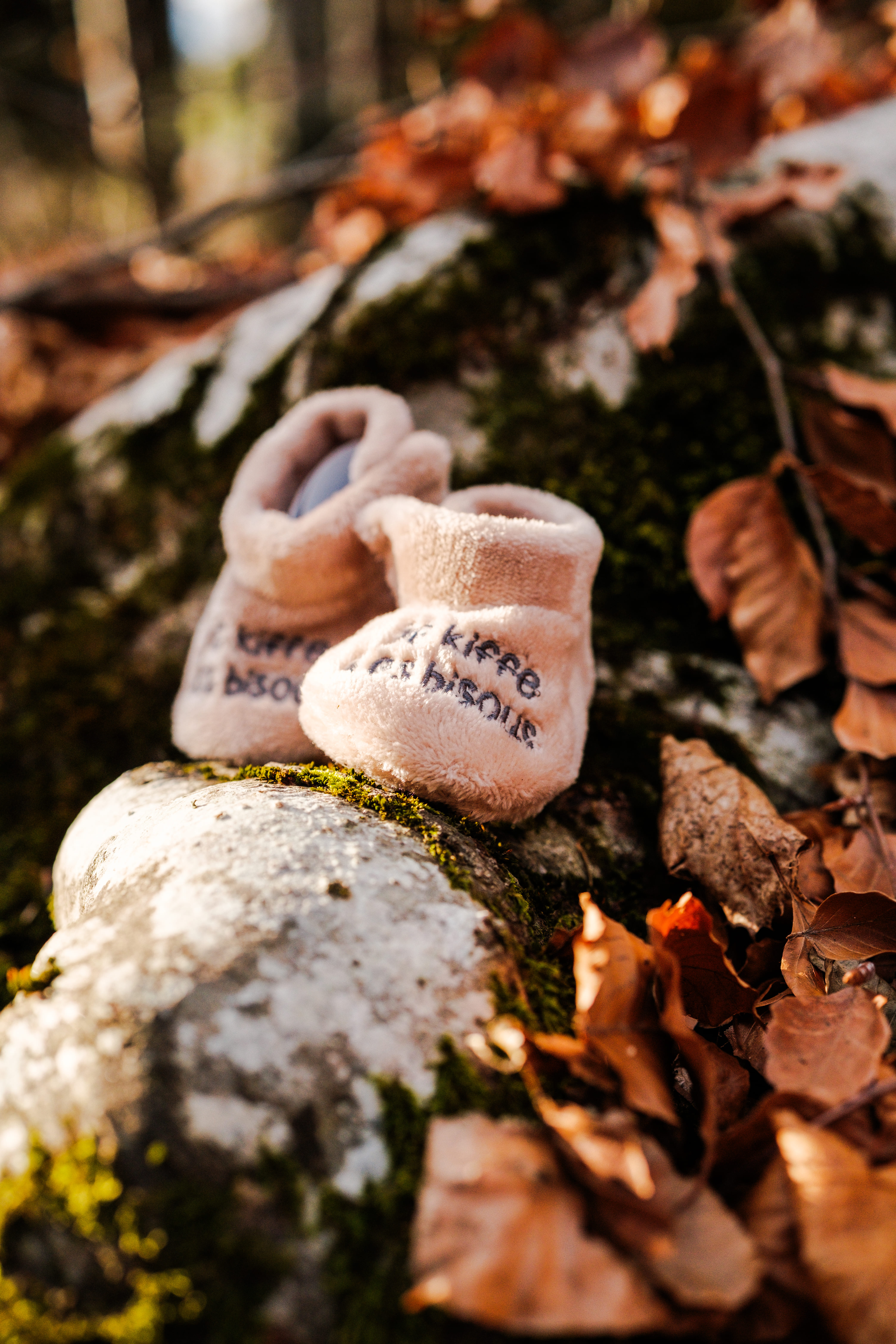 Image d'illustration pour le projet mariage + grossesse